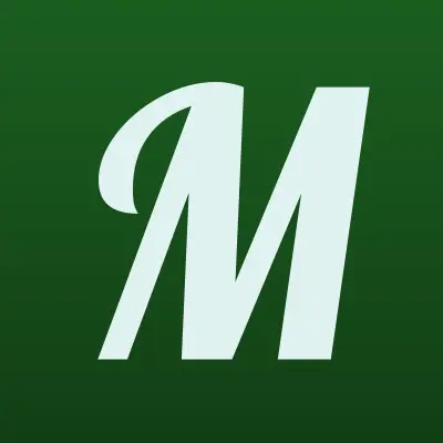 Мейлон, лого-визитка
